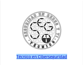 Técnico en Ciberseguridad DarFe.es